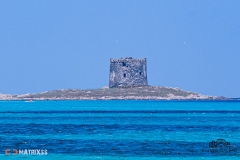 dalerciph-161-2025-06-08T17_45_36.336